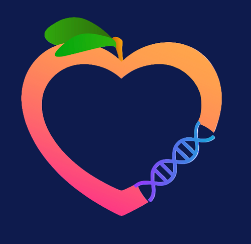 Heart-shaped fruit with a DNA strand on a white background